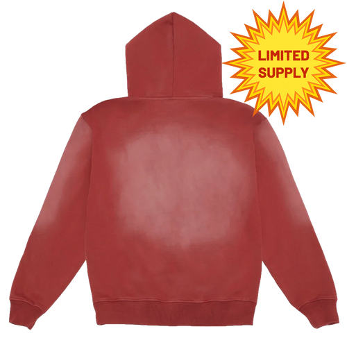 Better Late Than Never Hoodie